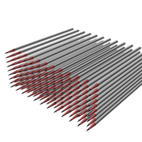 Портфолио Tsepak Vasylyna